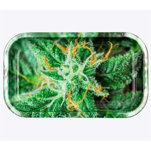 Strain AK47, 27cm