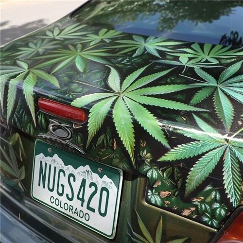 License Plate