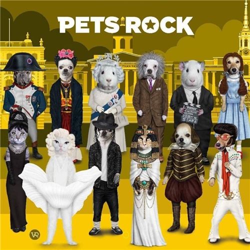 Pets Rock Small Storage Box Set 1 - 12 X 4 X 2.5 cm