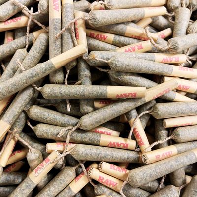 CBD Pre-Rolls