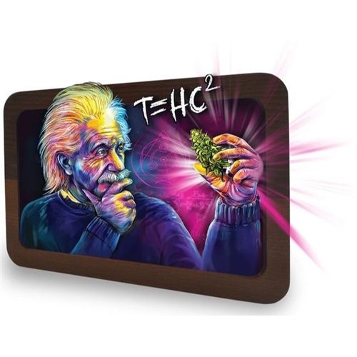 3D High Def Einstein T=HC2, 30 X 18cm