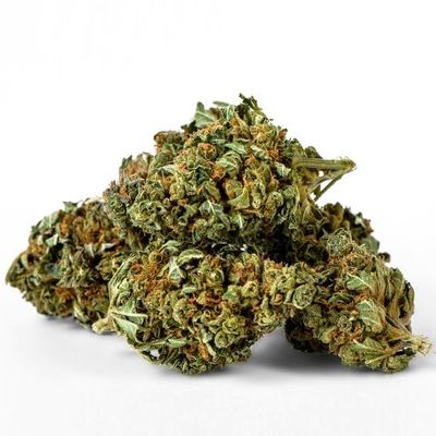 CBD Weed