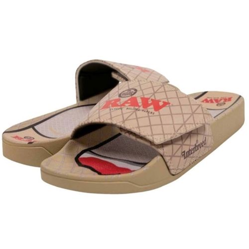 Interbreed X RAW Slides, Size: 41