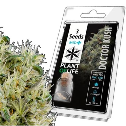 Doctor Kush Medical Feminized, 3 Seeds