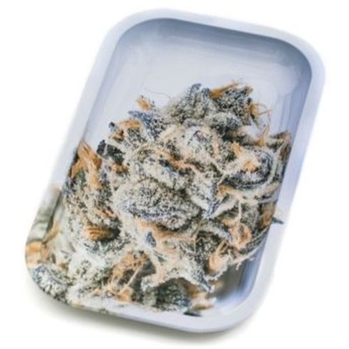 Girl Scout Cookies, 27cm