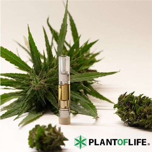 Cartridge 66% CBD, 1ml