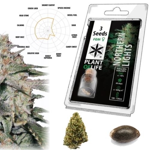 Northern Lights Feminized, 3 Seeds