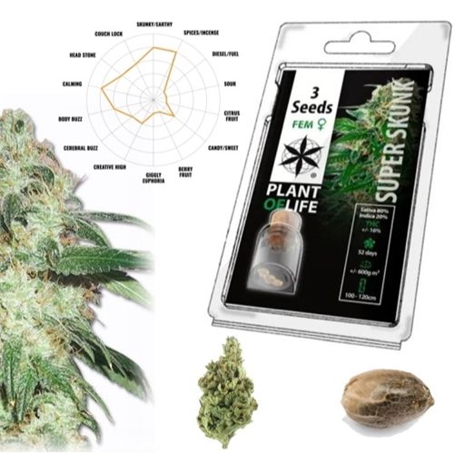 Super Skunk Feminized, 3 Seeds