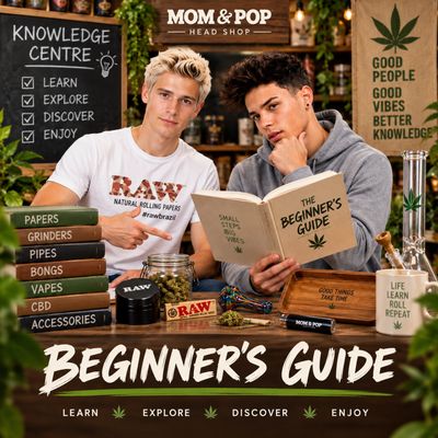 🧑‍🏫 Beginner's Guide