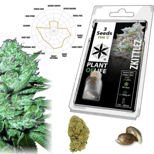 Zkittlez Feminized, 3 Seeds