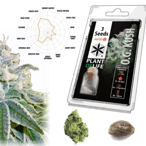OG Kush Auto, 3 Seeds