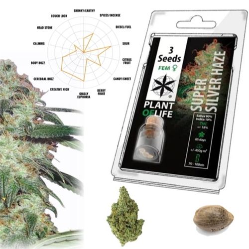 Super Silver Haze Feminized, 3 Seeds