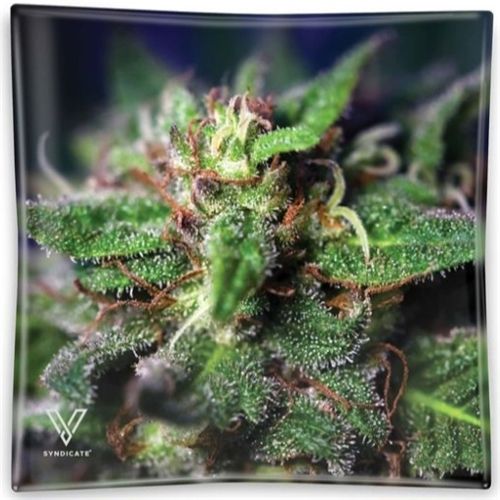 Blue Dream Glass Ashtray, 11cm