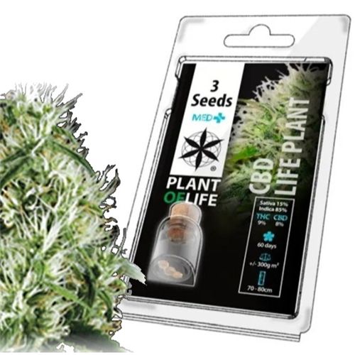 CBD Life Plant Medical Feminized, 3 Seeds
