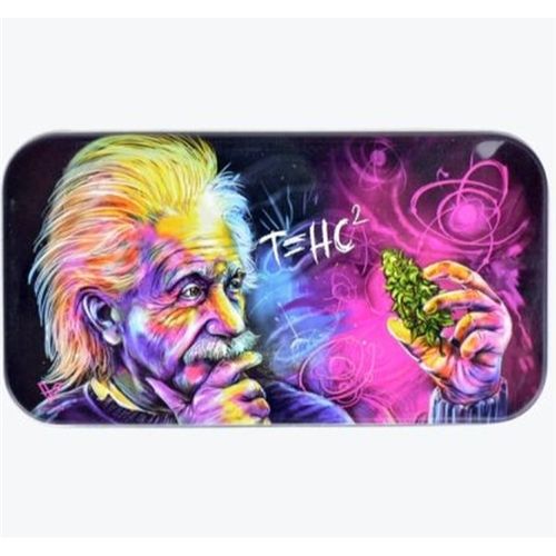 Syndicase Einstein, 12 x 6 cm