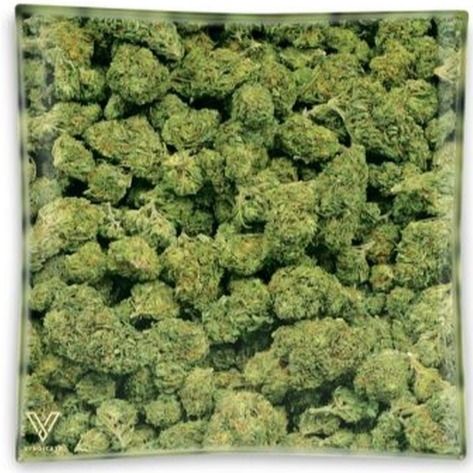 Buds Glass Ashtray, 11cm