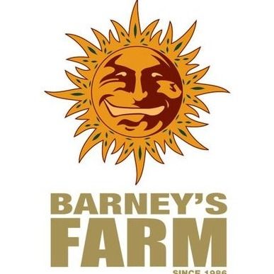 Barney's Farm Auto (3 Seeds)