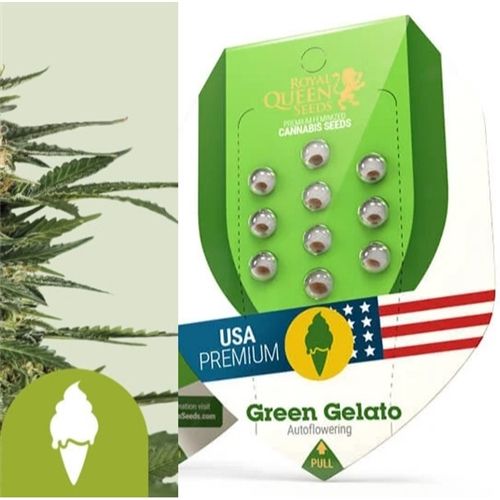 RQS Auto-Flowering, 1 seed, Strain: Green Gelato