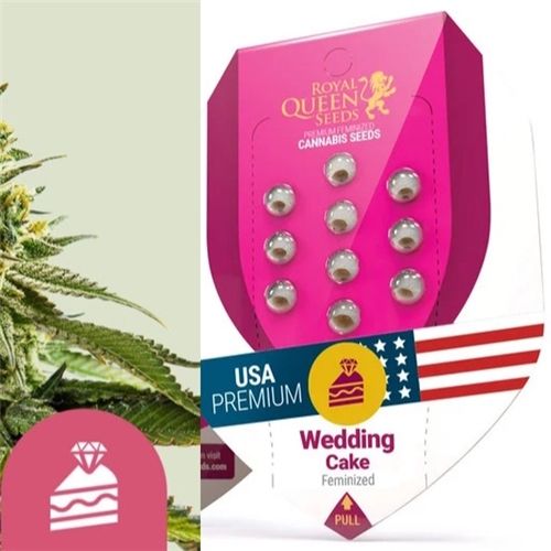 RQS Feminized, 1 seed, Strain: Wedding Cake