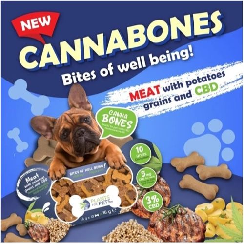 Plant of Life Cannabones, 16g