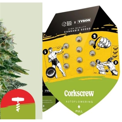 RQS Tyson 2.0 Auto-Flowering, 1 seed, Strain: Corkscrew