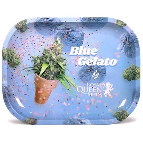 RQS Blue Gelato Tray Medium
