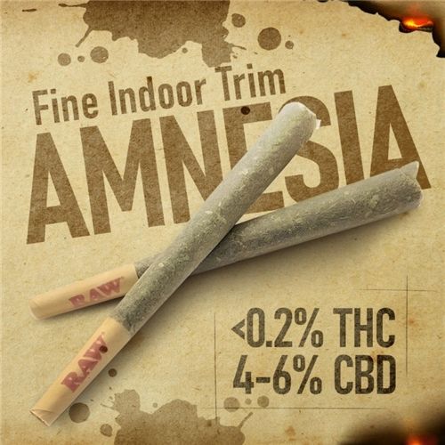 CBD Pre-Rolled King Size, ca. 1.2g, Strain: Amnesia