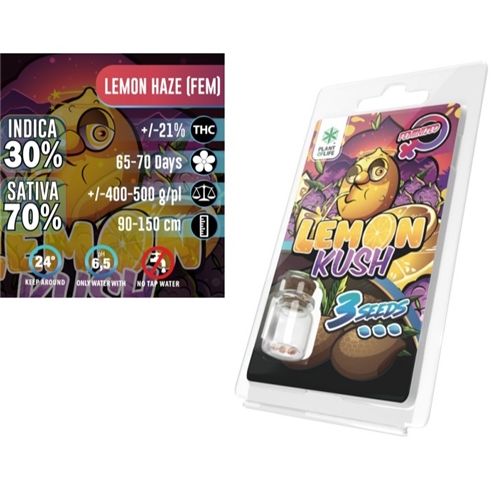Lemon Kush Feminized, 3 Seeds