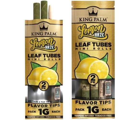 King Palm Lemon Haze, X 2
