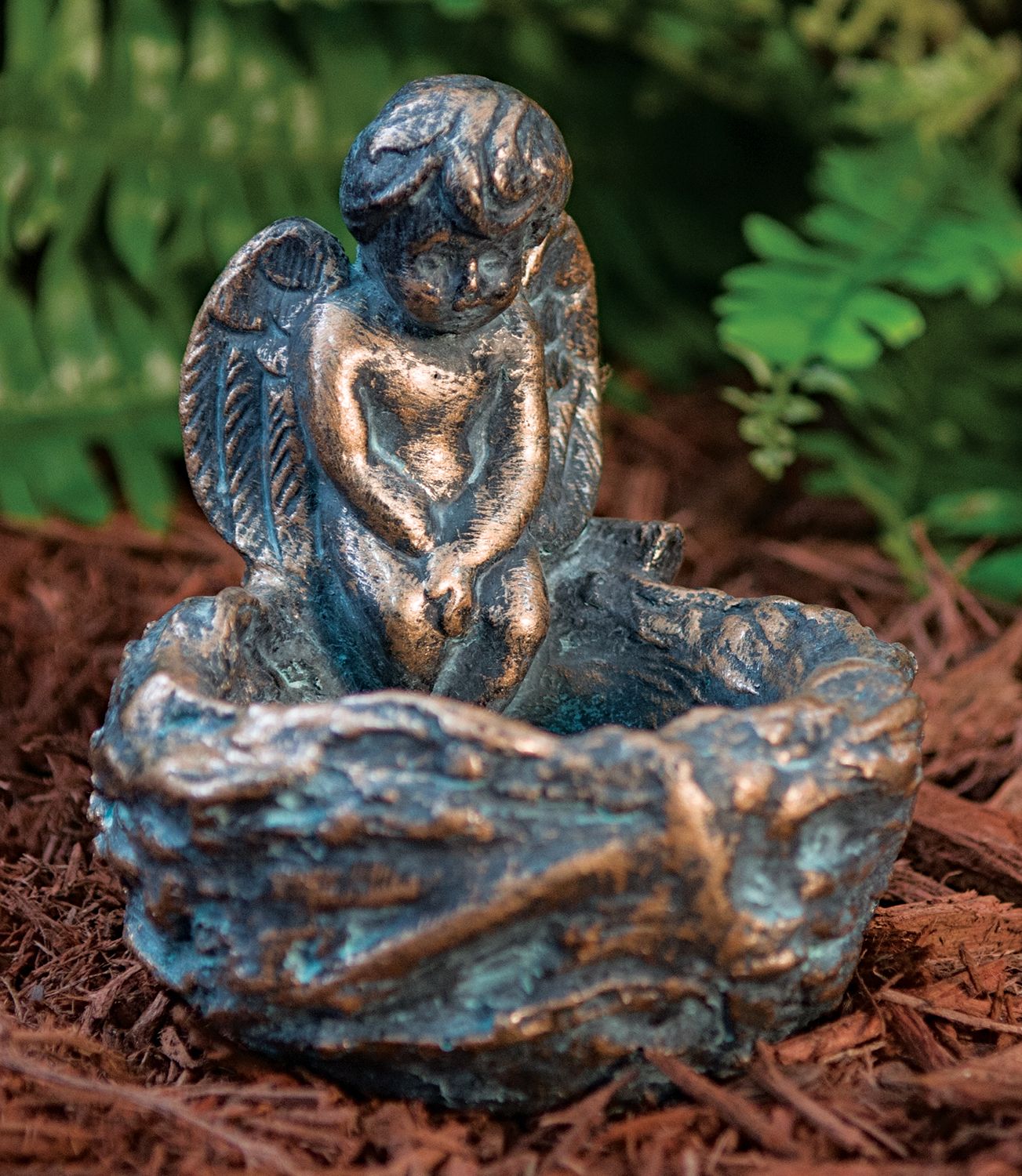 33000 Cherub on Nest