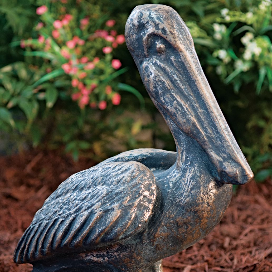 48013 Pelican Pete