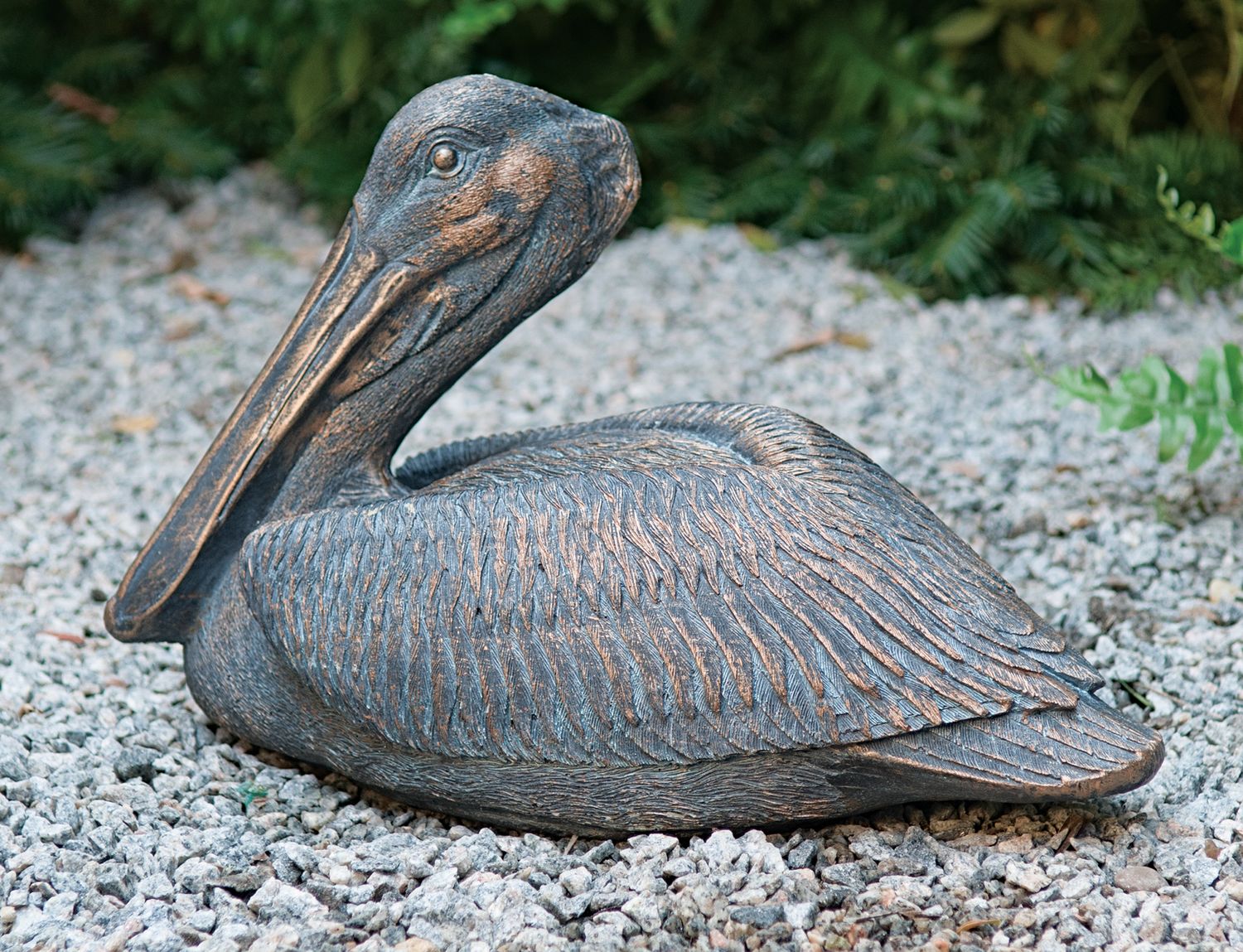 48003 Sitting Pelican