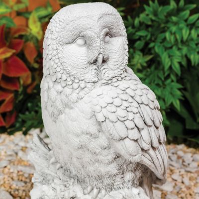 48021 Lg. Owl