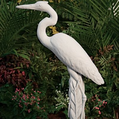 48009 Egret