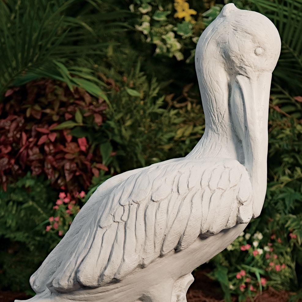 48002 Ex. Lg. Pelican