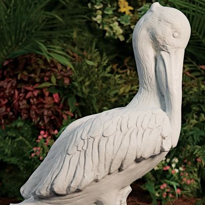 48002 Ex. Lg. Pelican