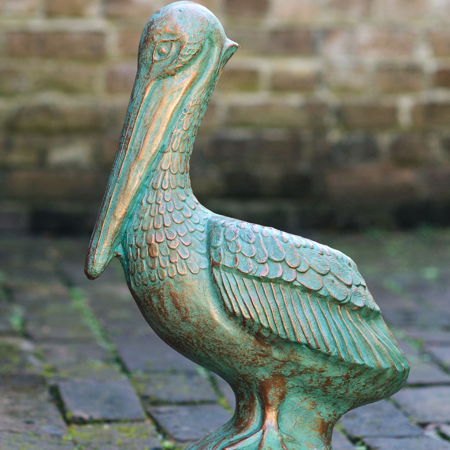 48026 Ocracoke Pelican