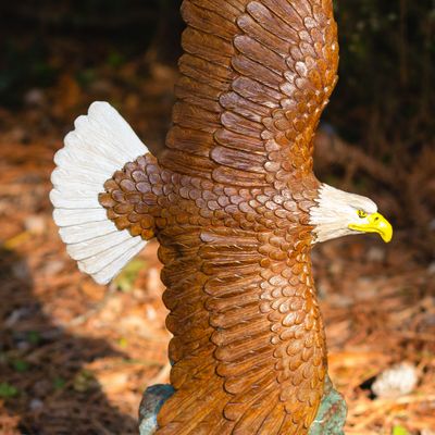 48025 Flying Eagle on Rock