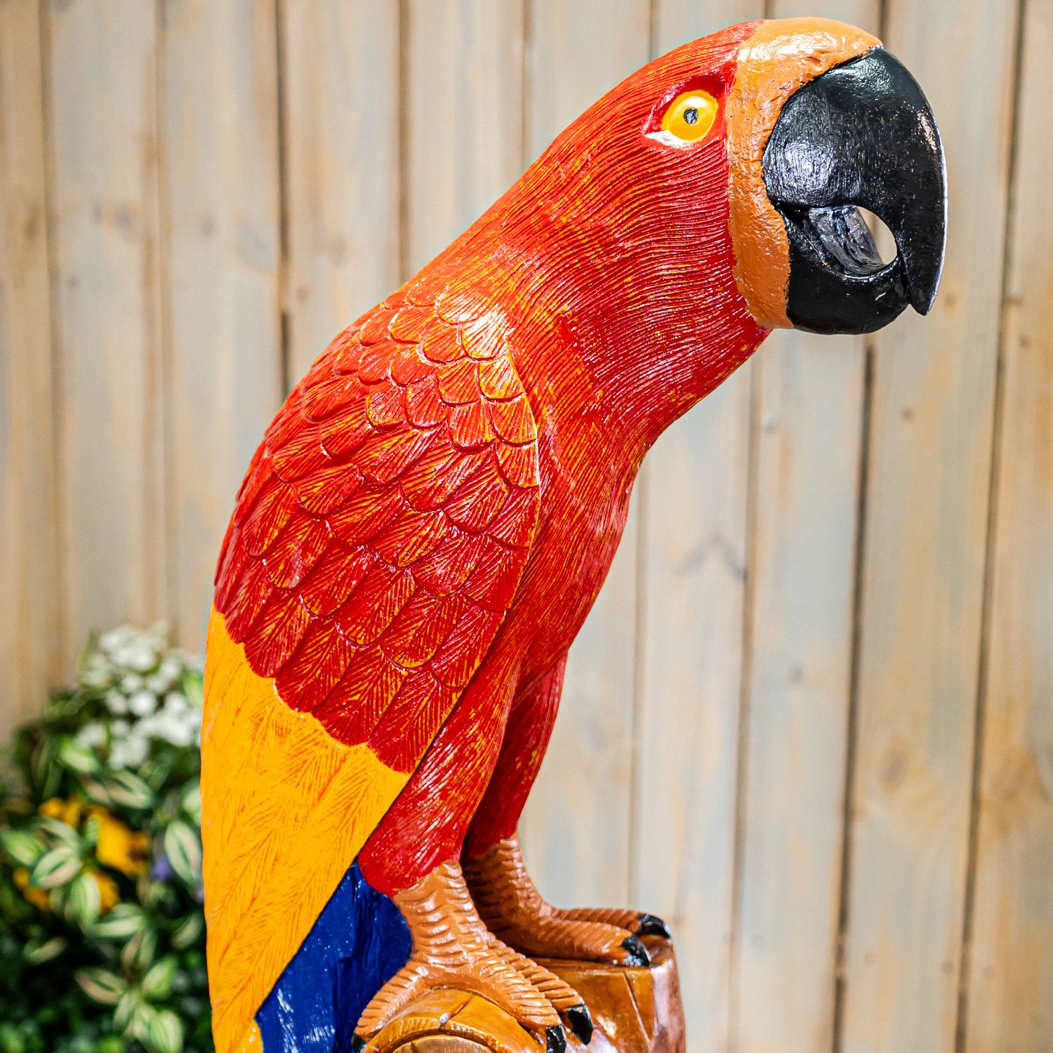 48044 Ex. Lg. Parrot