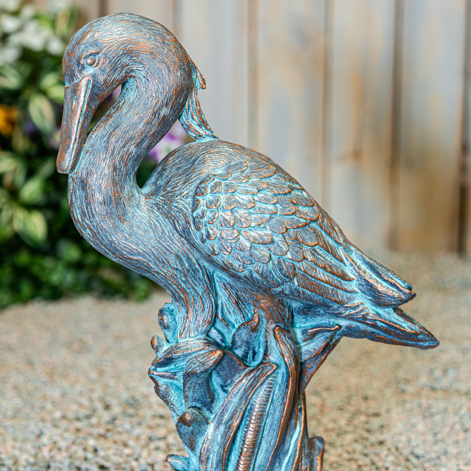 48043 Ducktailed Heron