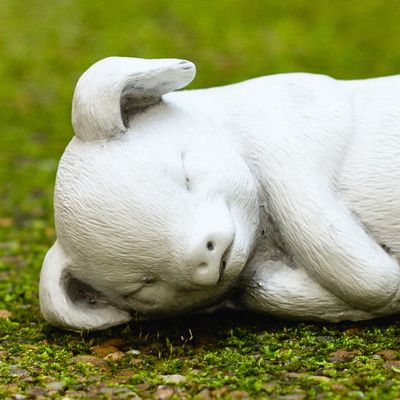 59011 Sleeping Piglet