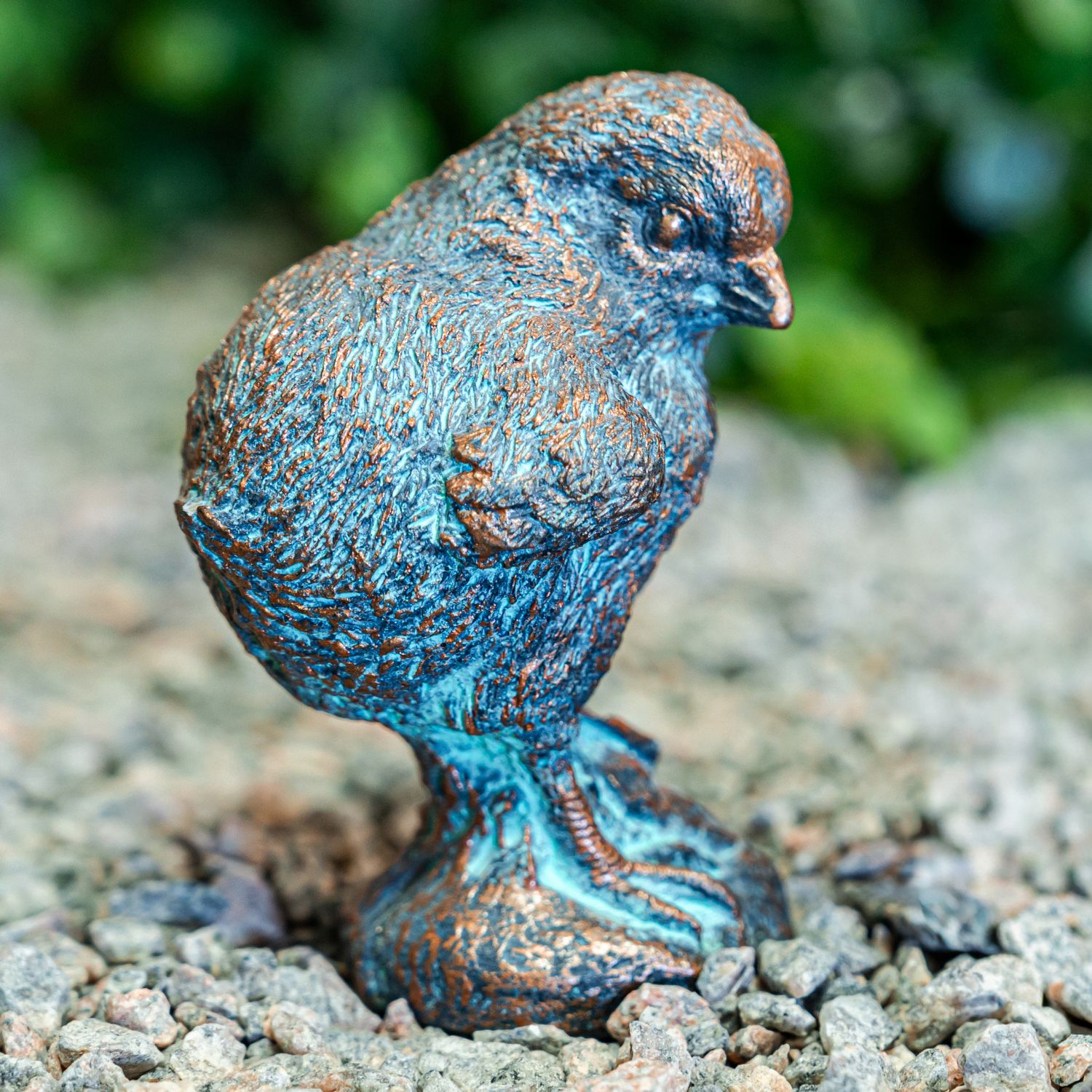 60004 Chick Looking Back