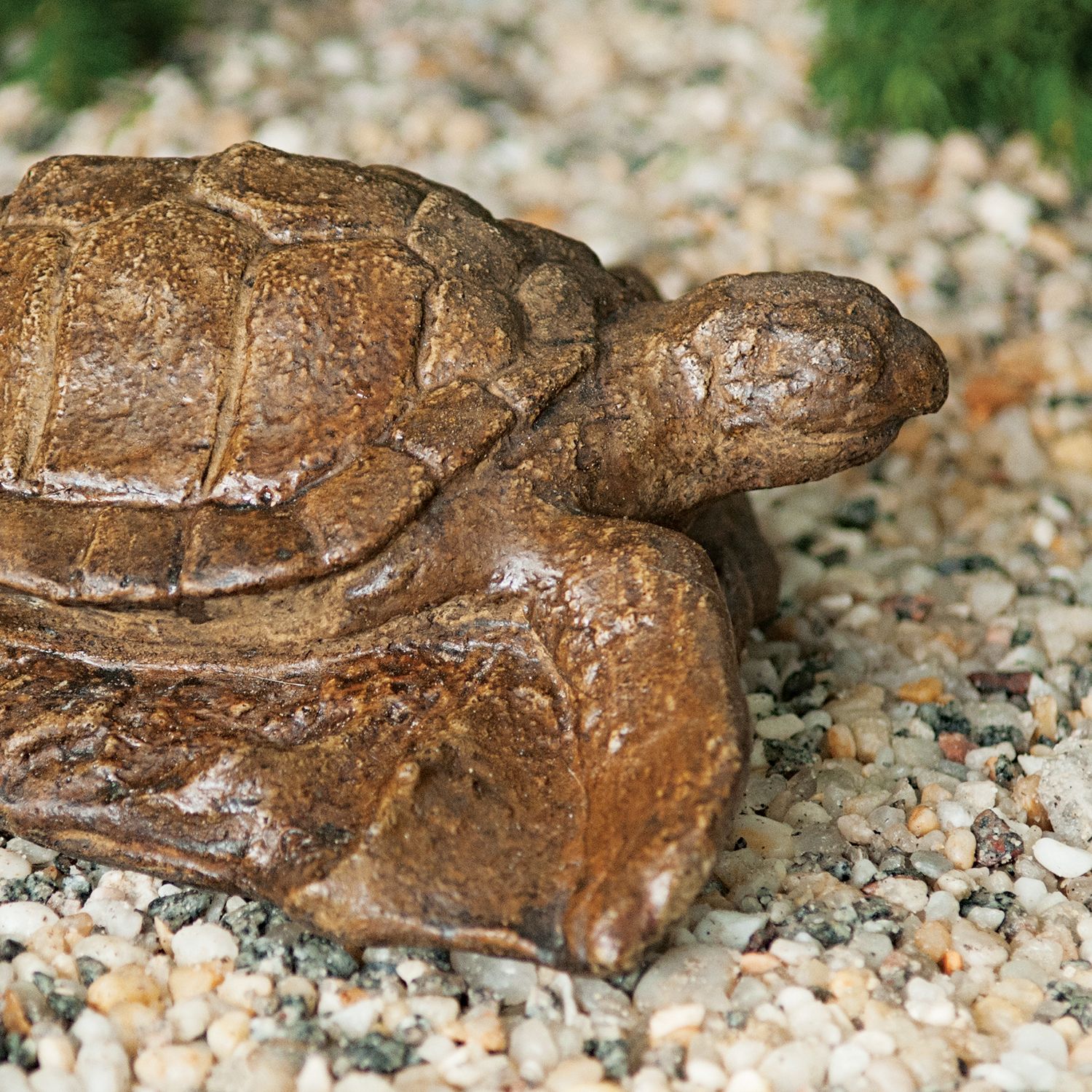 61000 Lg. Sea Turtle