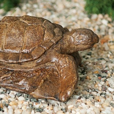 61000 Lg. Sea Turtle