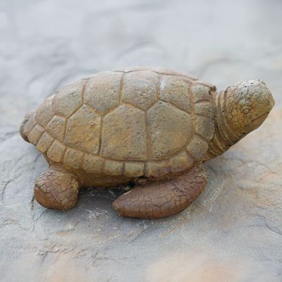 61007 Sm. Sea Turtle