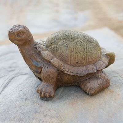 61008 Sm. Box Turtle