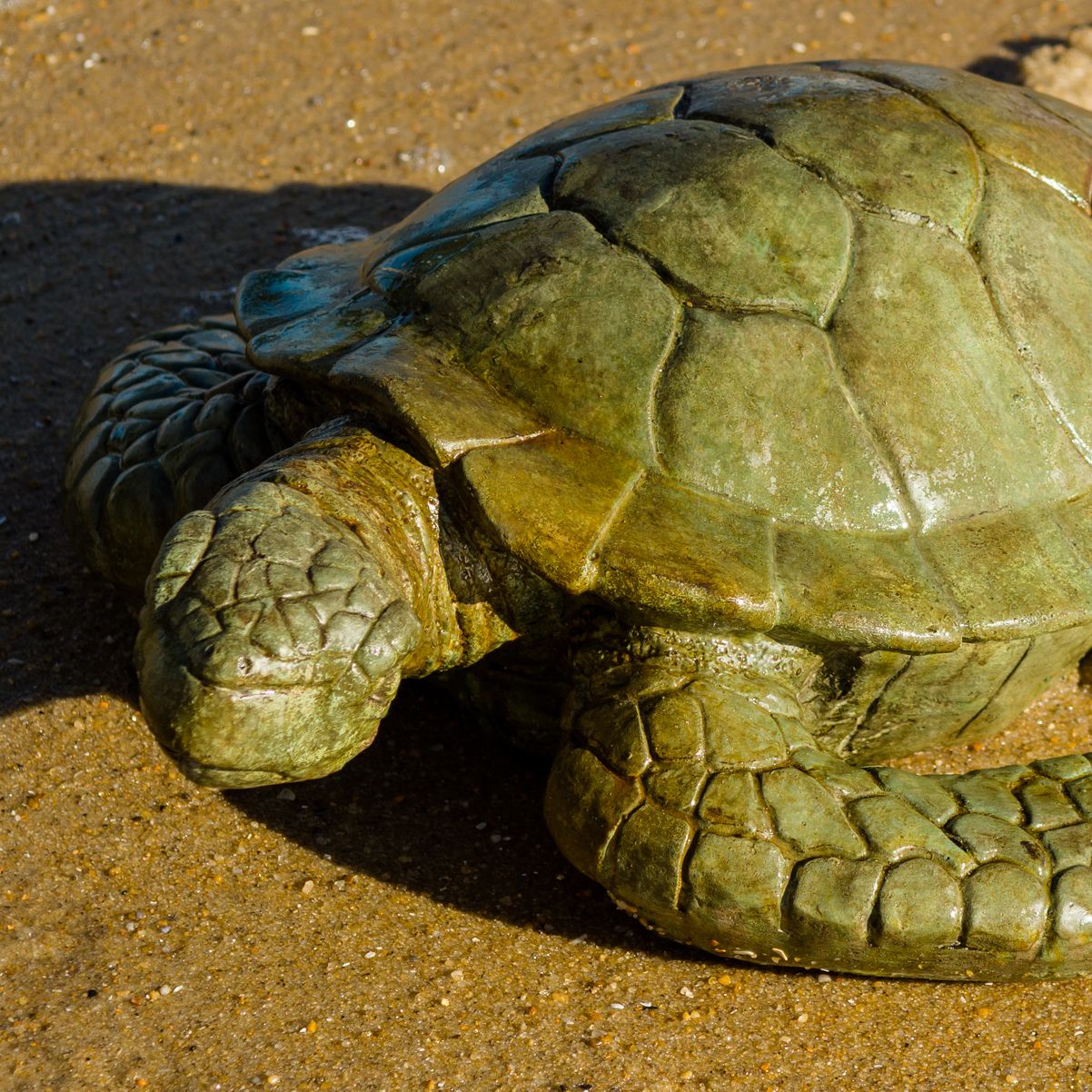 61012 Hatteras Sea Turtle