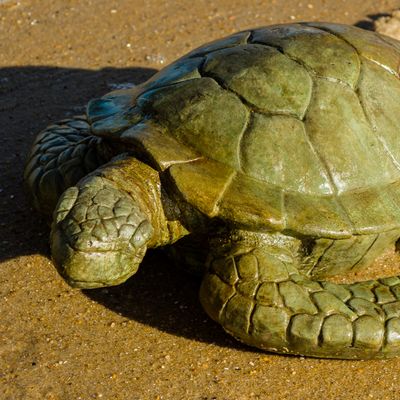 61012 Hatteras Sea Turtle