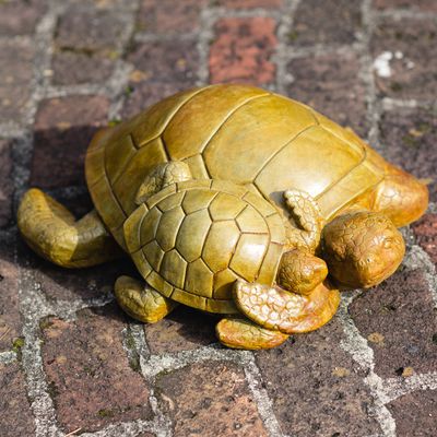 61014 Sea Turtle w/ Baby