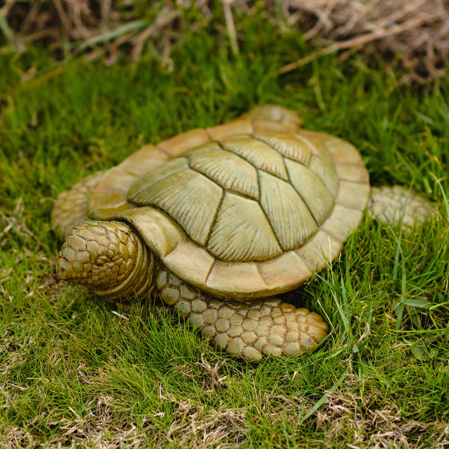 61015 OBX Sea Turtle